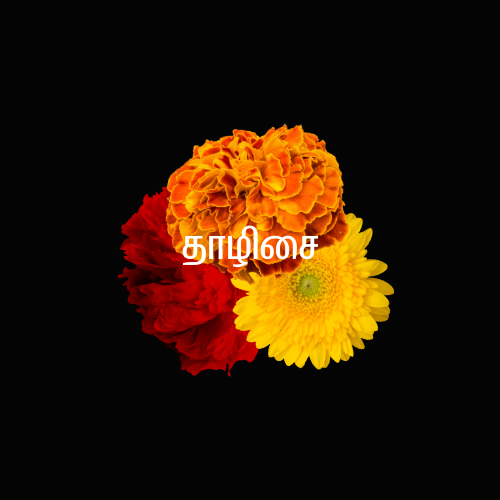 தாழிசை